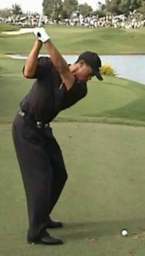 146.jpg