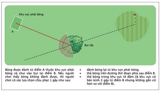 luat15.jpg
