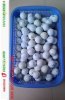 11745554_786211148143552_195655998440431432_n.jpg